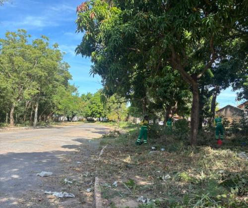 Avenida principal do Jardim Universitário é revitalizada por equipe de limpeza