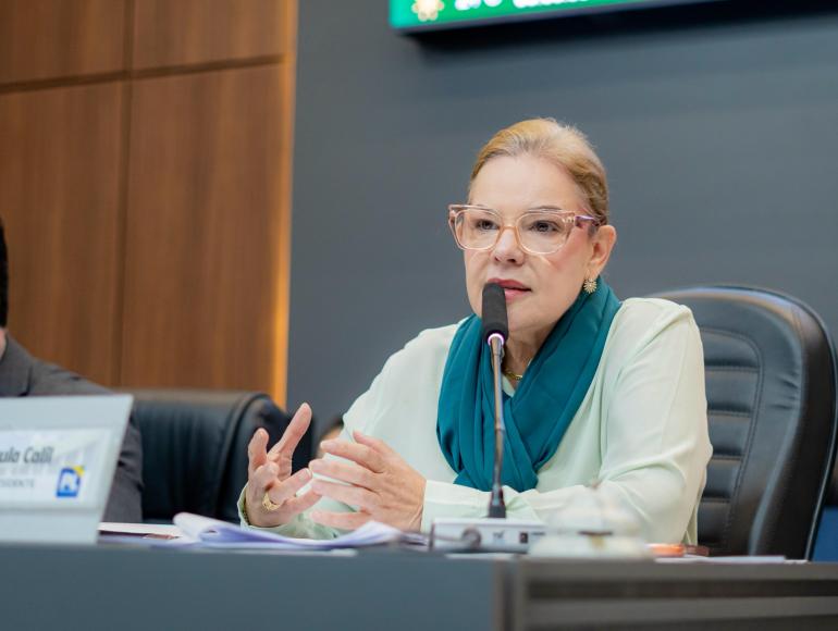 Projeto pode prevenir esquecimento de crianças e animais em veículos