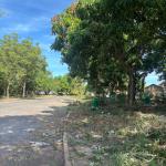Avenida principal do Jardim Universitário é revitalizada por equipe de limpeza
